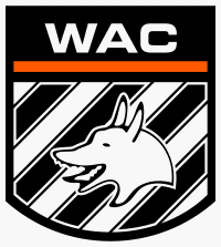 Wolfsberger AC Fútbol