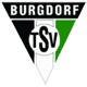 TSV Burgdorf Balonmano