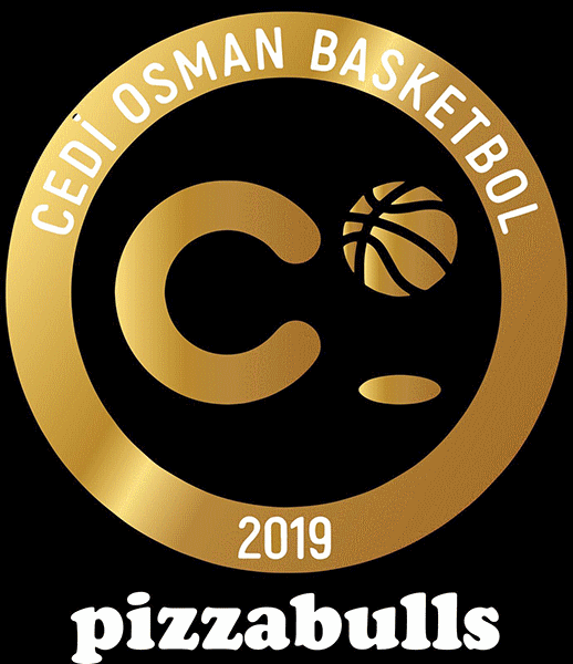 Logo týmu