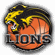 BK Lions J. Hradec 篮球