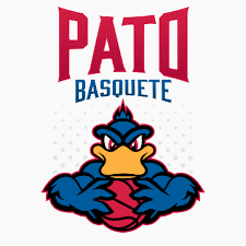 Pato Basquete Baloncesto