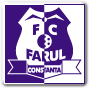 Farul Constanta Fútbol