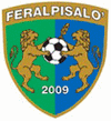 FeralpiSalo Fútbol