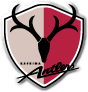 Kashima Antlers Fútbol