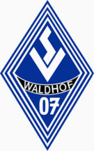 SV Waldhof Mannheim Fútbol