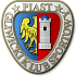 Piast Gliwice Fútbol