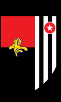RWD Molenbeek Fútbol