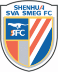 Shanghai Shenhua 足球