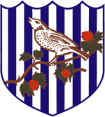 West Bromwich Albion Fútbol