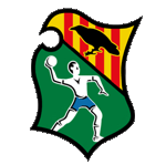 Fraikin BM Granollers Balonmano