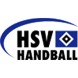 HSV Handball Hamburg Balonmano