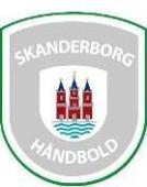 Skanderborg Balonmano