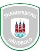 Skanderborg Balonmano