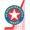 Horácká Slavia Třebíč Hockey
