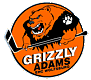 Grizzly Wolfsburg Hockey