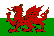  Cymru Premier consejos